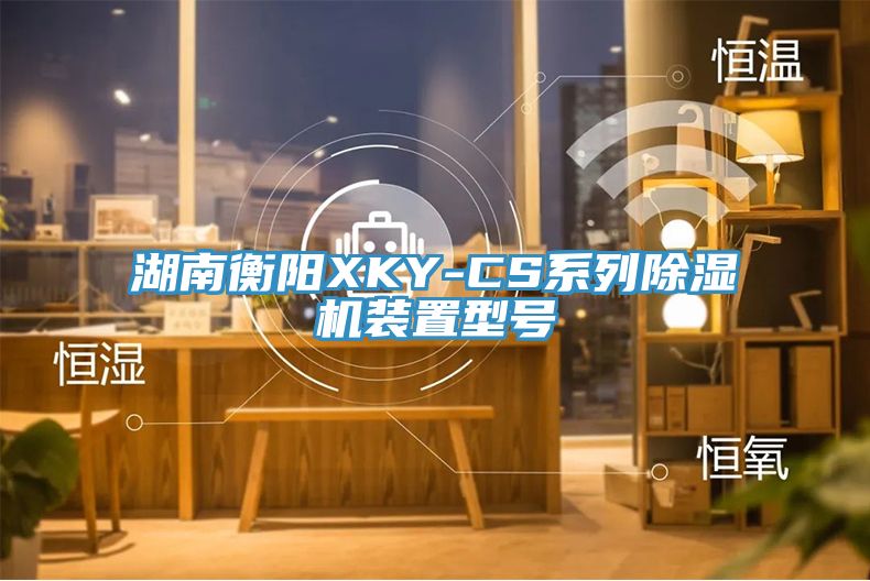 湖南衡陽XKY-CS係列草莓视频污污污污裝置型號