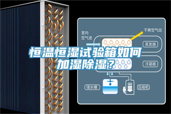 恒溫恒濕試驗箱如何加濕除濕？