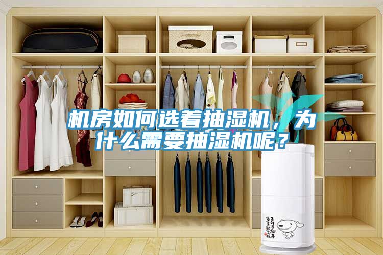 機房如何選著抽濕機，為什麽需要抽濕機呢？