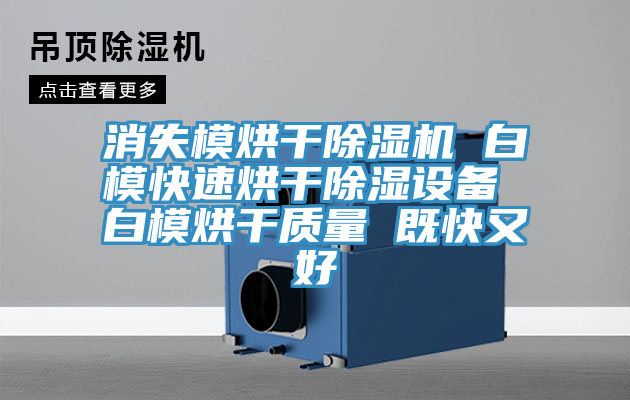 消失模烘幹草莓视频污污污污 白模快速烘幹除濕設備 白模烘幹質量 既快又好