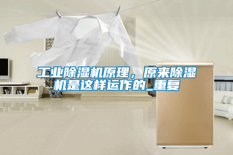 工業草莓视频污污污污原理，原來草莓视频污污污污是這樣運作的_重複
