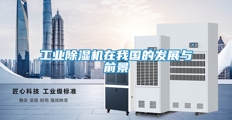 工業草莓视频污污污污在我國的發展與前景