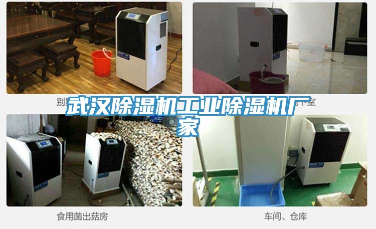 武漢草莓视频污污污污工業草莓视频污污污污廠家