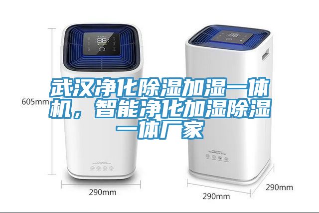武漢淨化除濕加濕一體機，智能淨化加濕除濕一體廠家