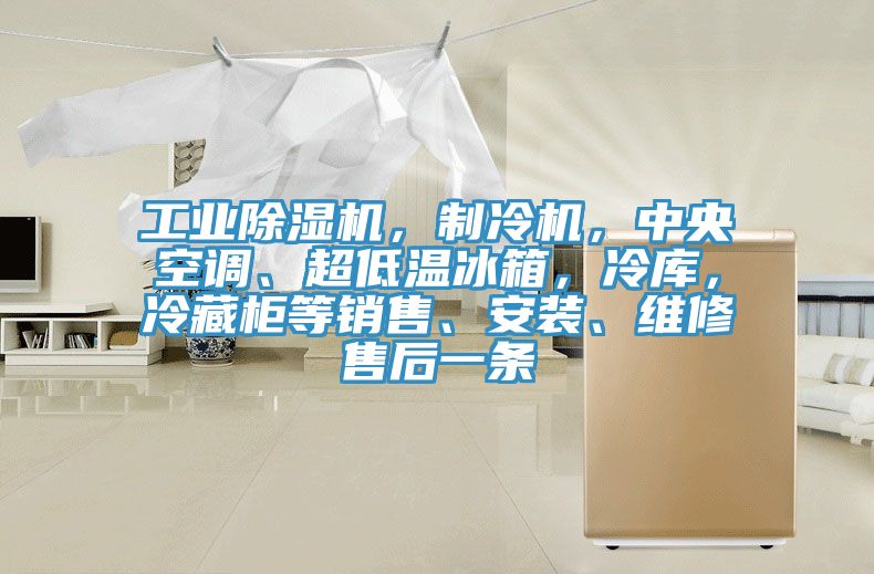 工業草莓视频污污污污，製冷機，中央空調、超低溫冰箱，冷庫，冷藏櫃等銷售、安裝、維修售後一條