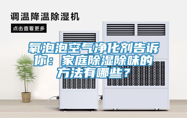 氧泡泡空氣淨化劑告訴你：家庭除濕除味的方法有哪些？