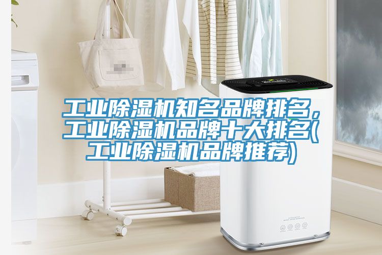 工業草莓视频污污污污知名品牌排名，工業草莓视频污污污污品牌十大排名(工業草莓视频污污污污品牌推薦)