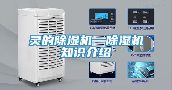 靈的草莓视频污污污污—草莓视频污污污污知識介紹