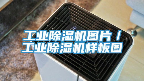 工業草莓视频污污污污圖片／工業草莓视频污污污污樣板圖