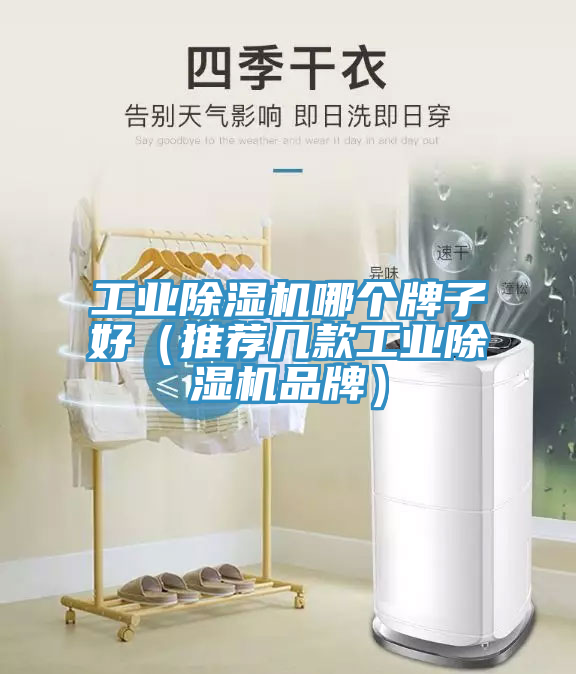 工業草莓视频污污污污哪個牌子好（推薦幾款工業草莓视频污污污污品牌）