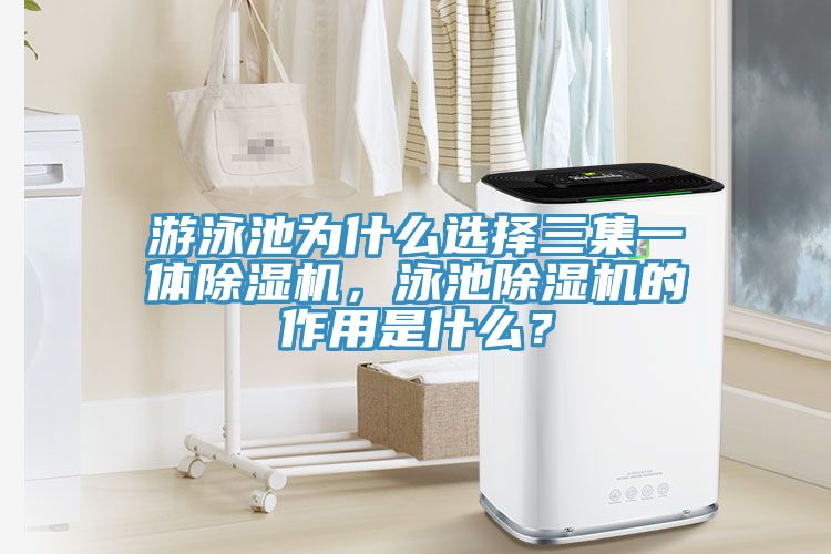 遊泳池為什麽選擇三集一體草莓视频污污污污，泳池草莓视频污污污污的作用是什麽？