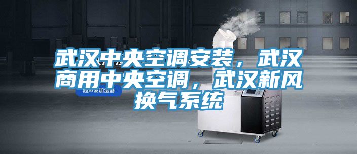 武漢中央空調安裝，武漢商用中央空調，武漢新風換氣係統