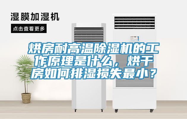 烘房耐高溫草莓视频污污污污的工作原理是什麽，烘幹房如何排濕損失最小？