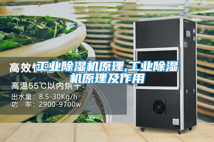 工業草莓视频污污污污原理,工業草莓视频污污污污原理及作用