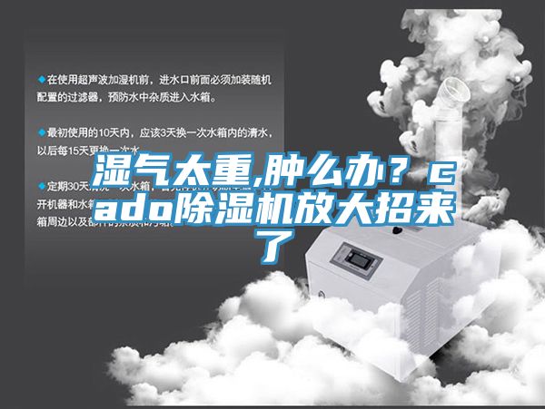 濕氣太重,腫麽辦？cado草莓视频污污污污放大招來了