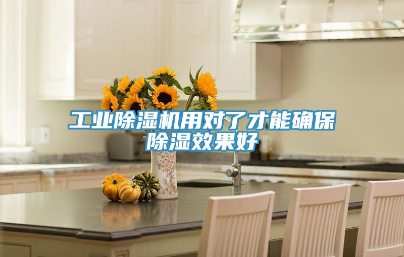工業草莓视频污污污污用對了才能確保除濕效果好