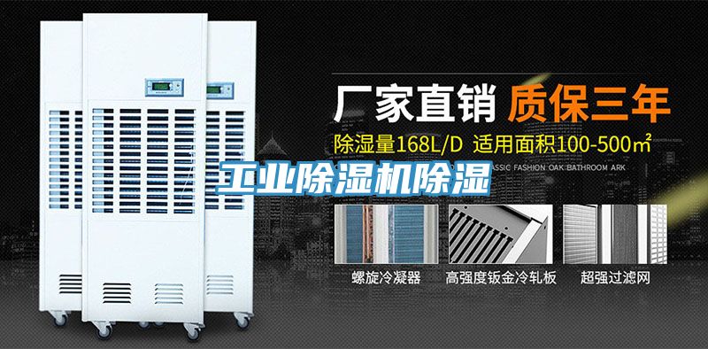 工業草莓视频污污污污除濕