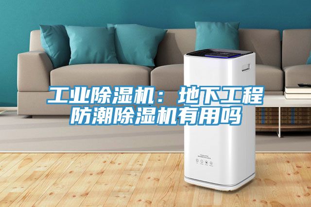 工業草莓视频污污污污：地下工程防潮草莓视频污污污污有用嗎