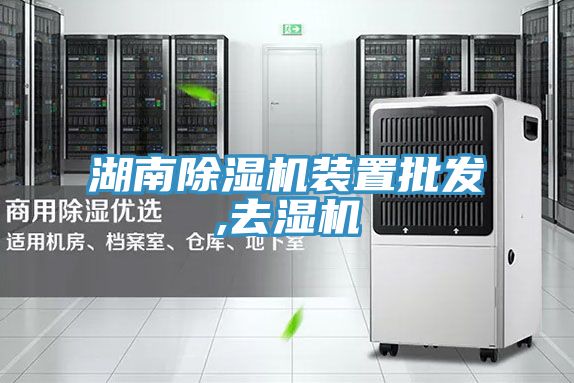 湖南草莓视频污污污污裝置批發,去濕機