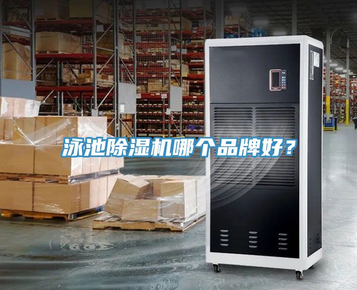 泳池草莓视频污污污污哪個品牌好？