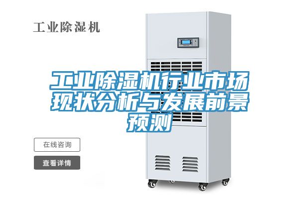 工業草莓视频污污污污行業市場現狀分析與發展前景預測