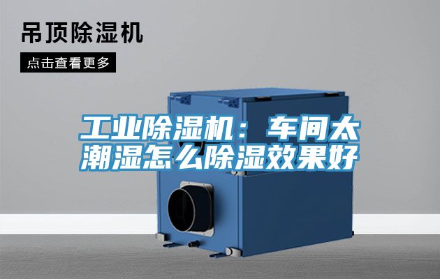 工業草莓视频污污污污：車間太潮濕怎麽除濕效果好