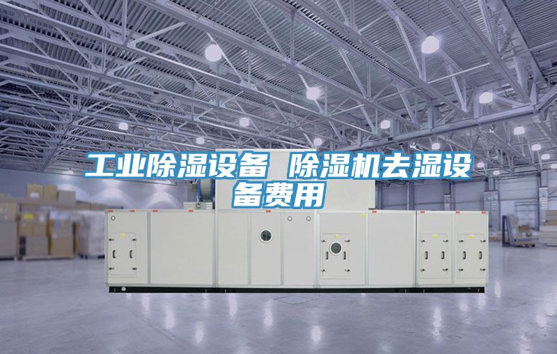 工業除濕設備 草莓视频污污污污去濕設備費用