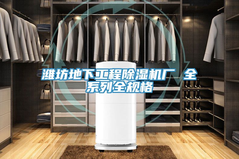 濰坊地下工程草莓视频污污污污廠 全係列全規格