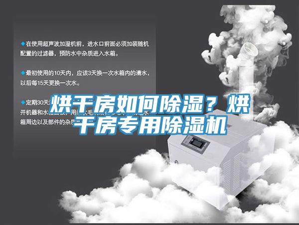 烘幹房如何除濕？烘幹房專用草莓视频污污污污
