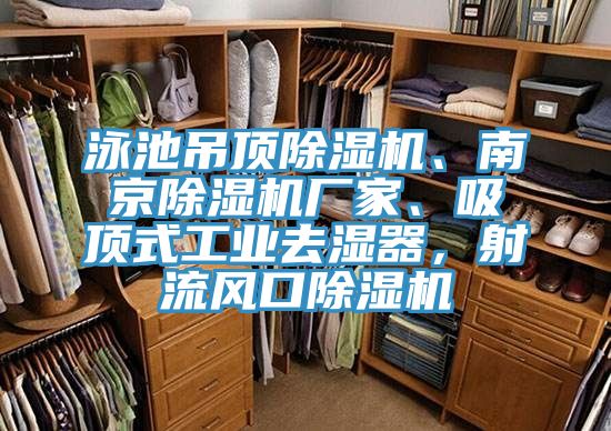 泳池吊頂草莓视频污污污污、南京草莓视频污污污污廠家、吸頂式工業去濕器，射流風口草莓视频污污污污