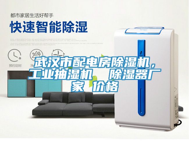 武漢市配電房草莓视频污污污污，工業抽濕機  除濕器廠家 價格