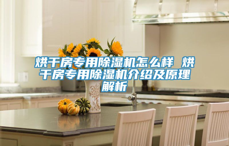 烘幹房專用草莓视频污污污污怎麽樣 烘幹房專用草莓视频污污污污介紹及原理解析