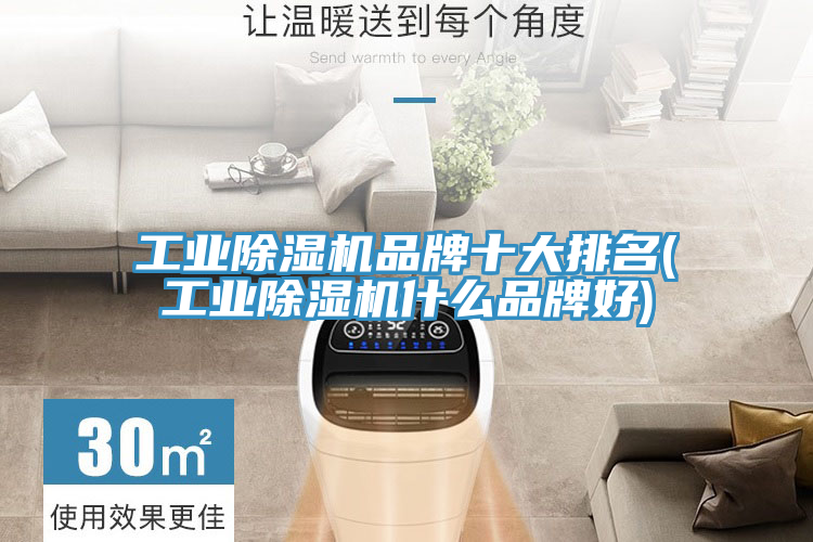 工業草莓视频污污污污品牌十大排名(工業草莓视频污污污污什麽品牌好)