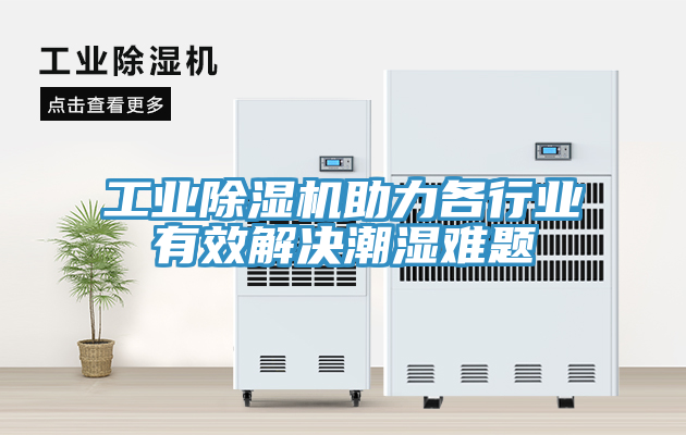 工業草莓视频污污污污助力各行業有效解決潮濕難題