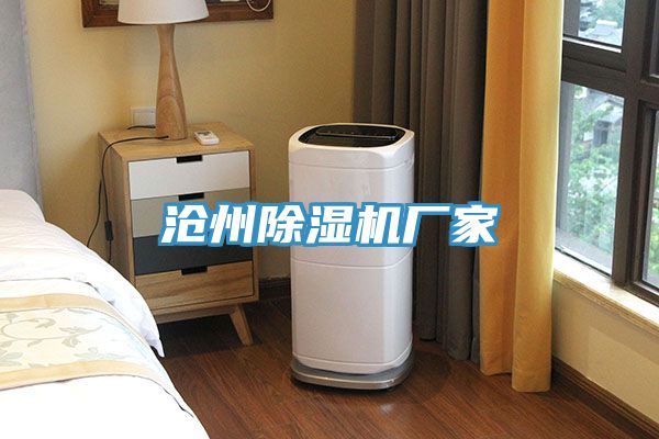 滄州草莓视频污污污污廠家