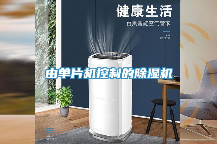 由單片機控製的草莓视频污污污污