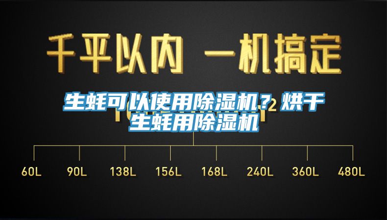 生蠔可以使用草莓视频污污污污？烘幹生蠔用草莓视频污污污污