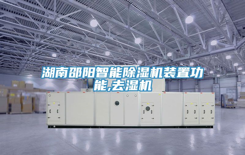 湖南邵陽智能草莓视频污污污污裝置功能,去濕機