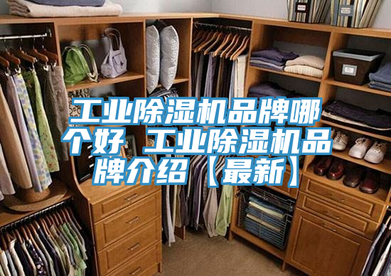 工業草莓视频污污污污品牌哪個好 工業草莓视频污污污污品牌介紹【最新】