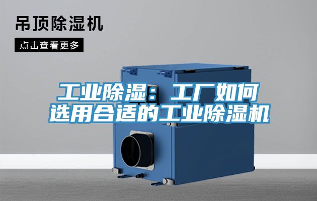 工業除濕：工廠如何選用合適的工業草莓视频污污污污