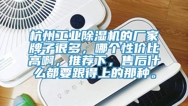 杭州工業草莓视频污污污污的廠家牌子很多，哪個性價比高啊，推薦下，售後什麽都要跟得上的那種。