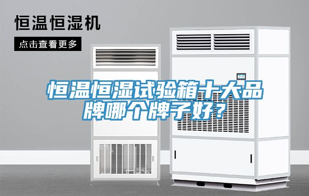恒溫恒濕試驗箱十大品牌哪個牌子好？