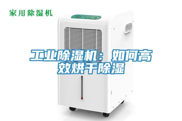工業草莓视频污污污污：如何高效烘幹除濕