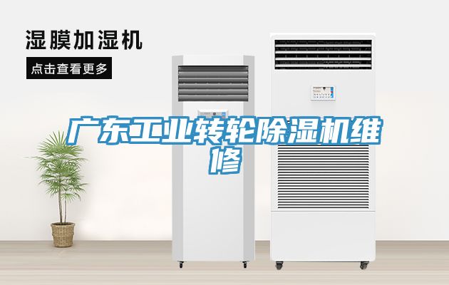 廣東工業轉輪草莓视频污污污污維修