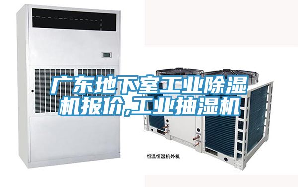 廣東地下室工業草莓视频污污污污報價,工業抽濕機