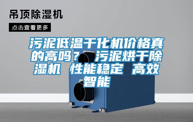 汙泥低溫幹化機價格真的高嗎？ 汙泥烘幹草莓视频污污污污 性能穩定 高效智能