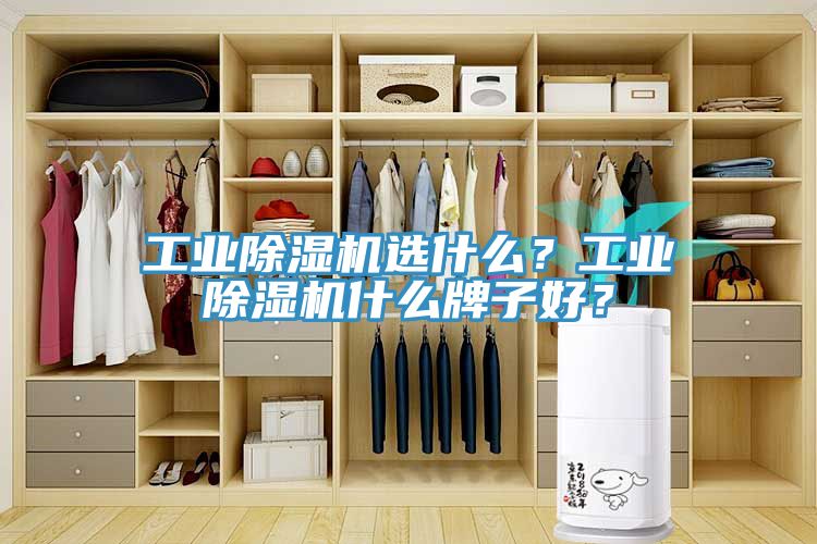工業草莓视频污污污污選什麽？工業草莓视频污污污污什麽牌子好？