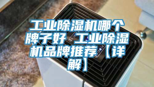 工業草莓视频污污污污哪個牌子好 工業草莓视频污污污污品牌推薦【詳解】