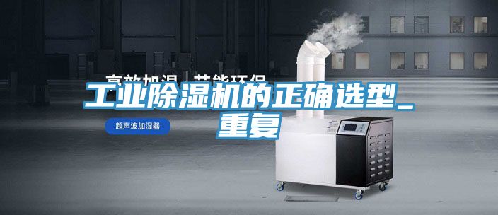 工業草莓视频污污污污的正確選型_重複