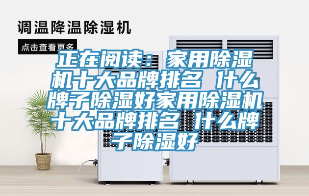 正在閱讀：家用草莓视频污污污污十大品牌排名 什麽牌子除濕好家用草莓视频污污污污十大品牌排名 什麽牌子除濕好